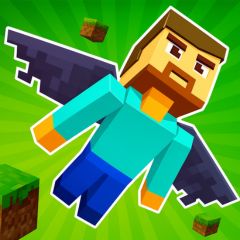 Elytra Flight